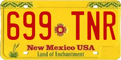 NM license plate 699TNR