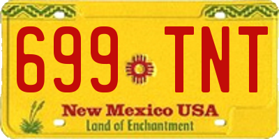 NM license plate 699TNT