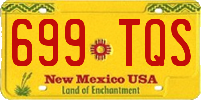 NM license plate 699TQS
