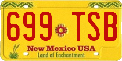 NM license plate 699TSB