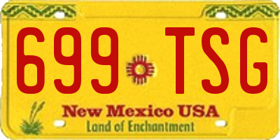 NM license plate 699TSG
