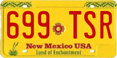 NM license plate 699TSR