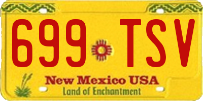NM license plate 699TSV