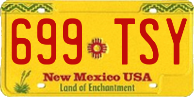 NM license plate 699TSY