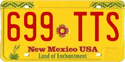 NM license plate 699TTS