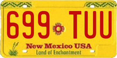 NM license plate 699TUU