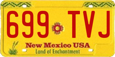 NM license plate 699TVJ