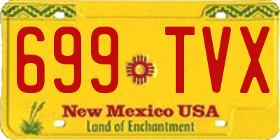 NM license plate 699TVX