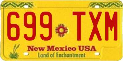 NM license plate 699TXM