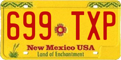 NM license plate 699TXP