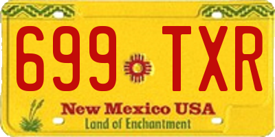NM license plate 699TXR