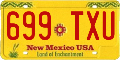 NM license plate 699TXU