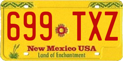 NM license plate 699TXZ