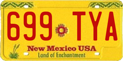NM license plate 699TYA