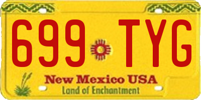 NM license plate 699TYG