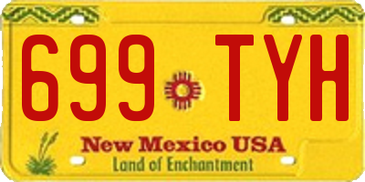 NM license plate 699TYH