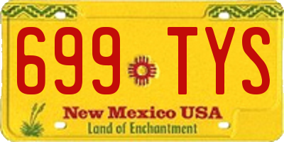 NM license plate 699TYS