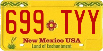 NM license plate 699TYY