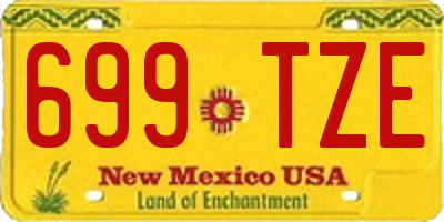 NM license plate 699TZE