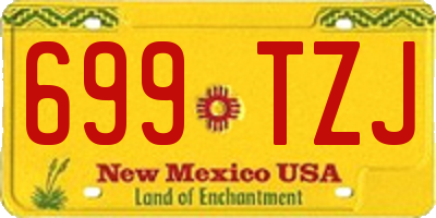 NM license plate 699TZJ