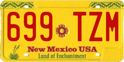 NM license plate 699TZM