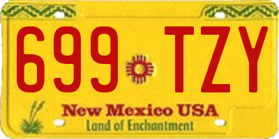 NM license plate 699TZY