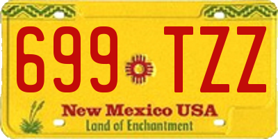 NM license plate 699TZZ