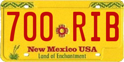 NM license plate 700RIB