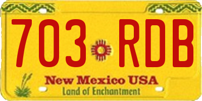 NM license plate 703RDB