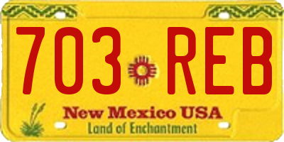 NM license plate 703REB