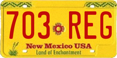NM license plate 703REG
