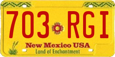 NM license plate 703RGI