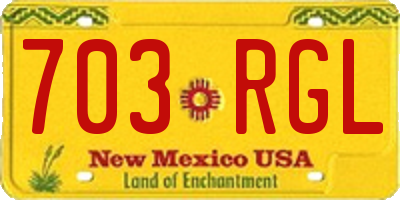 NM license plate 703RGL