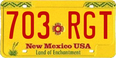 NM license plate 703RGT