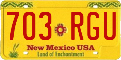 NM license plate 703RGU