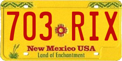 NM license plate 703RIX