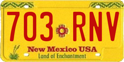 NM license plate 703RNV
