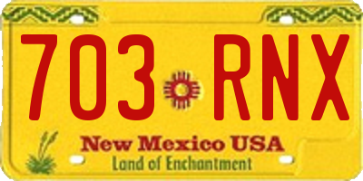 NM license plate 703RNX