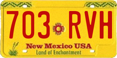 NM license plate 703RVH