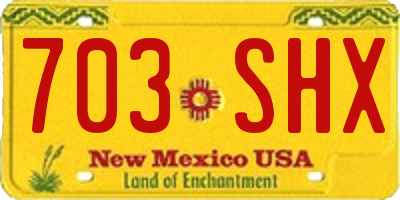 NM license plate 703SHX