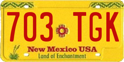 NM license plate 703TGK