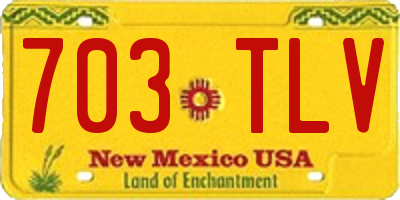 NM license plate 703TLV