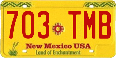 NM license plate 703TMB