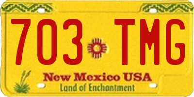 NM license plate 703TMG