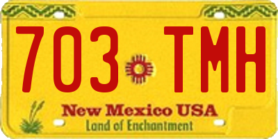 NM license plate 703TMH