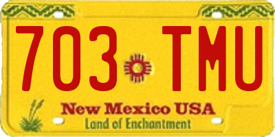 NM license plate 703TMU