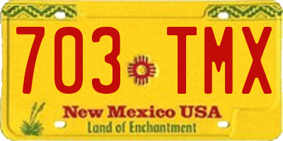 NM license plate 703TMX