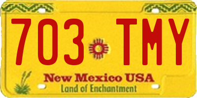 NM license plate 703TMY