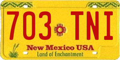 NM license plate 703TNI