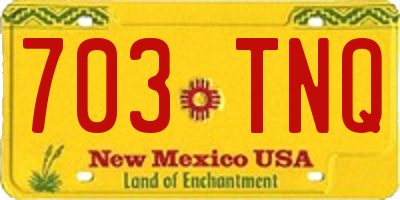 NM license plate 703TNQ